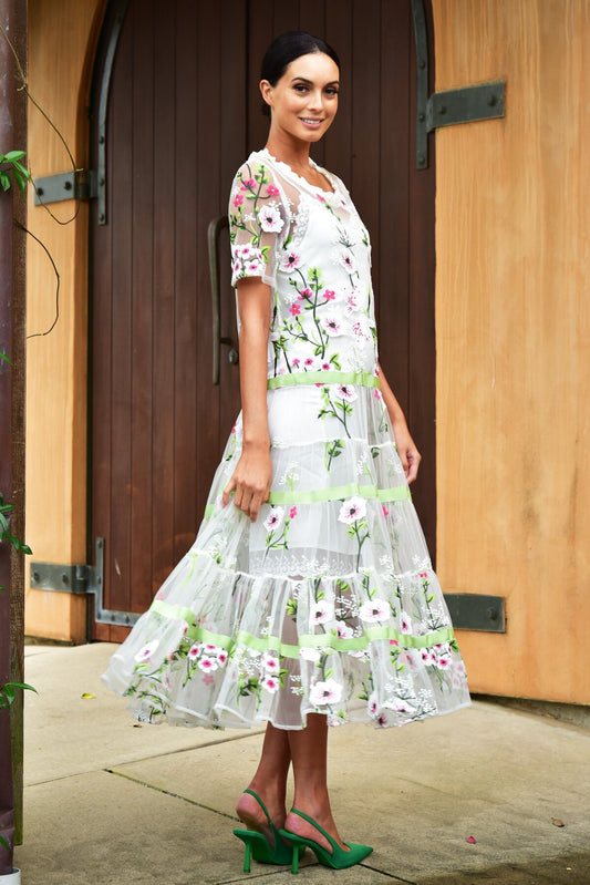 Frock Trot Dress