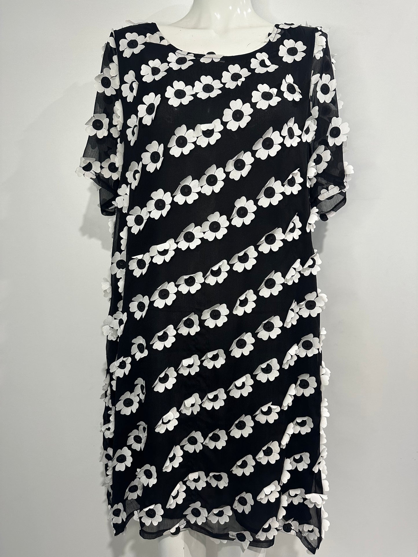 Daisy Midi