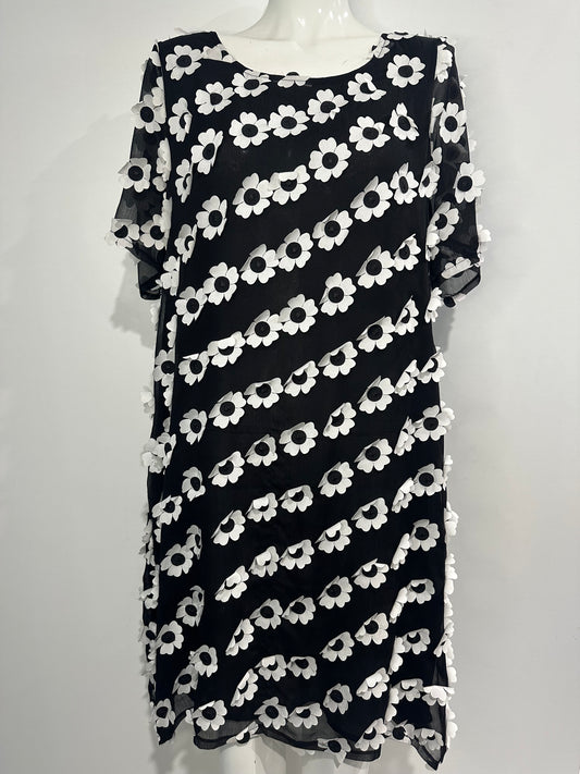 Daisy Midi